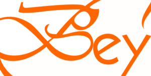 default-logo